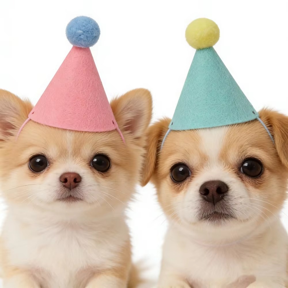 6/12pcs Cute Mini Pet Party Ha - Party Hat Cone 评论和价格