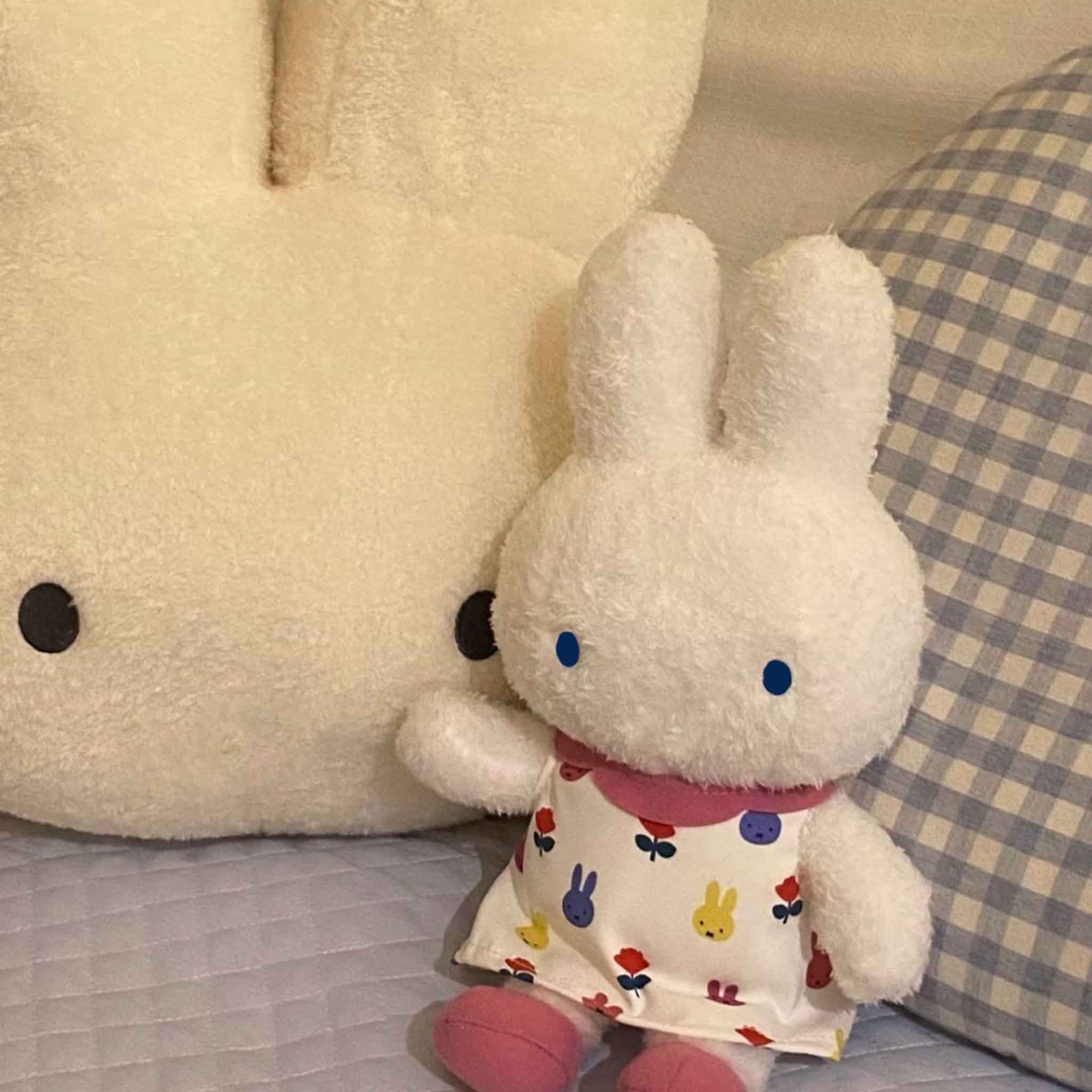 30CM Cute Fluffy Rabbit Plush  - Supply Event 评论和价格