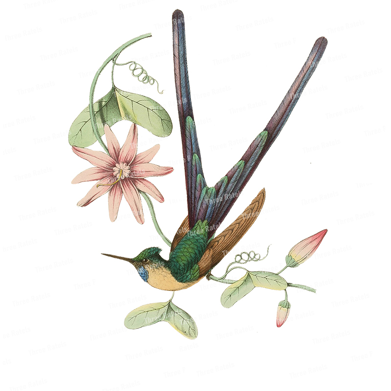 Three Ratels QC486 Classic ele - Flower Wall Panel 评论和价格